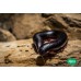Milpiés gigante negro gigas - Archispirostreptus gigas